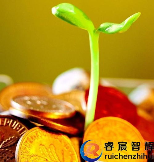做养生指南服务,要回归商业本质,返璞归真
