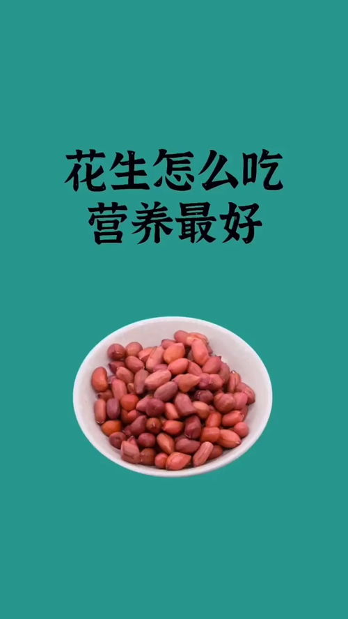 健康养生 养生