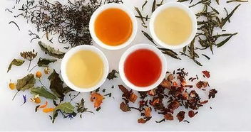 名医推荐中药茶饮 健康养生新选择