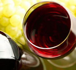 健康养生与波亚克酒的优雅融合 品味与视觉的双重享受