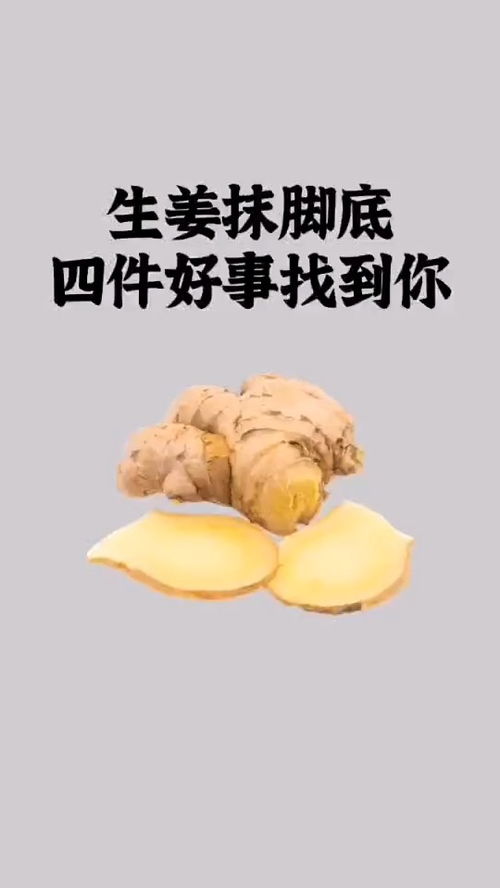 健康养生 构建全面健康的生活方式