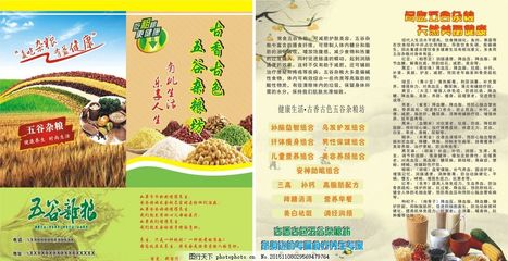 五谷杂粮 健康生活的基石，养生之道的不二选择