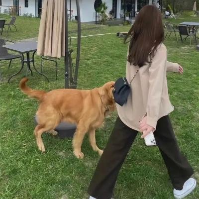吴震宇