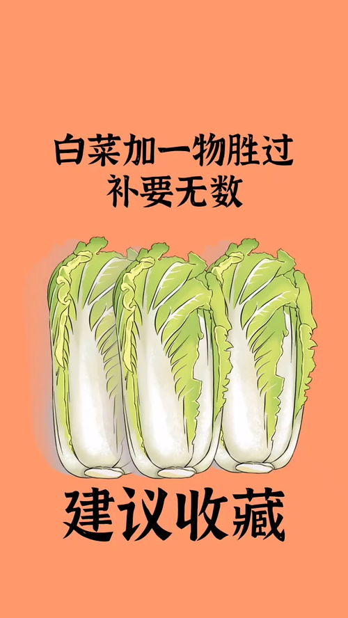 健康养生 养生